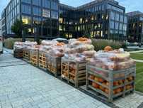 DOSTAWA DYNIE halloween BOO producent  dekoracje HALLOWEN