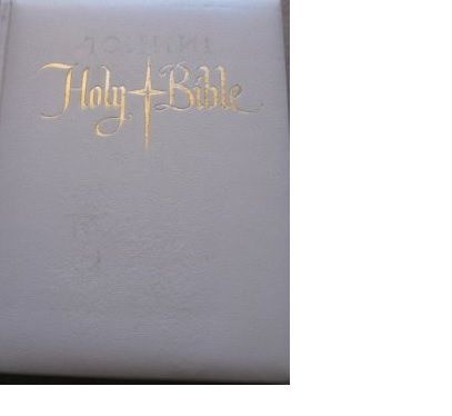 colecionadores Biblia Holy Bible Nova -