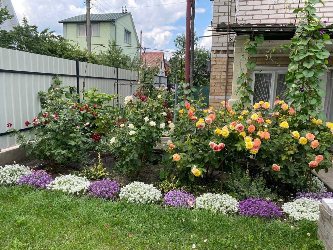 Продам дачу С/Т Сади Дніпра Вишгород без комісії