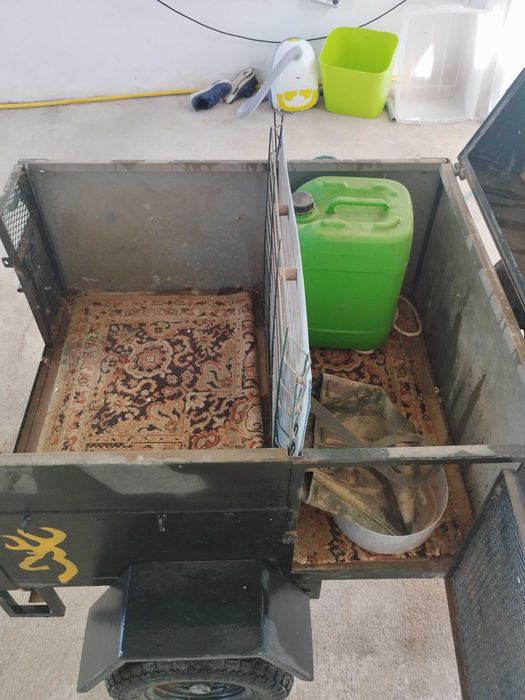 Atrelado transporte de cães