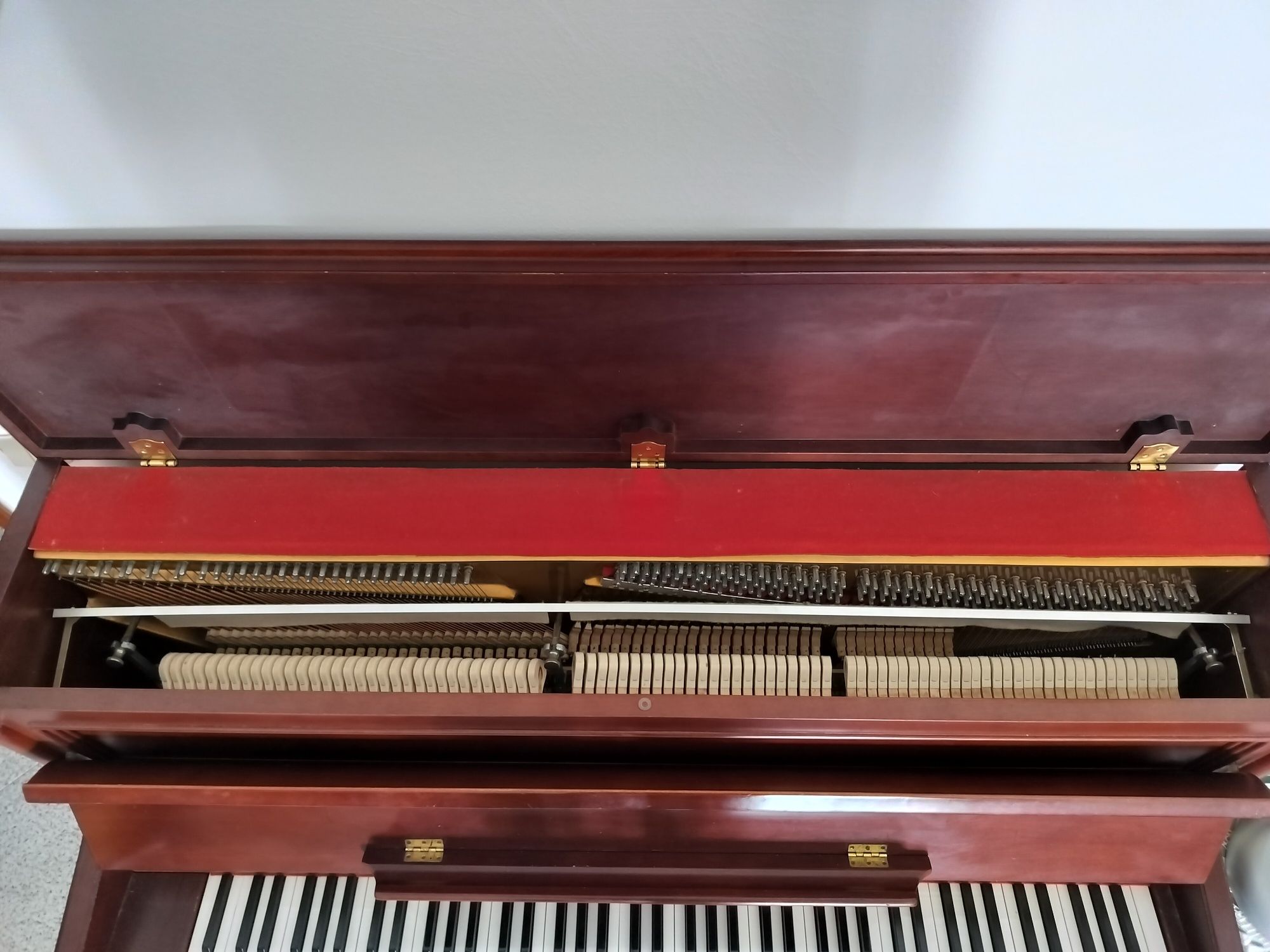 Piano Vertical Rippen