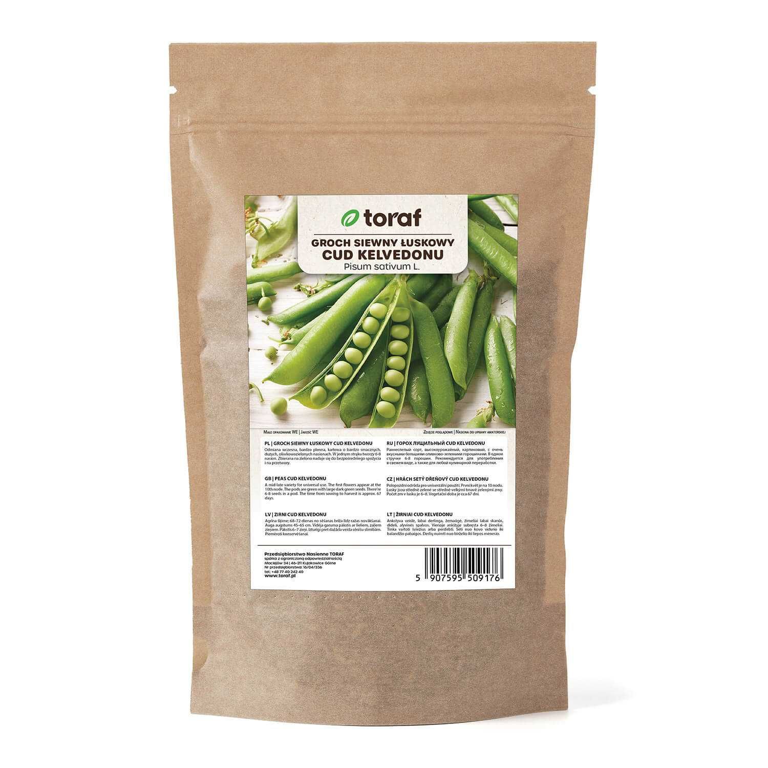Groch siewny Cud Kelvedonu 500g nasiona Toraf