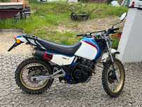 Honda dominator nx500