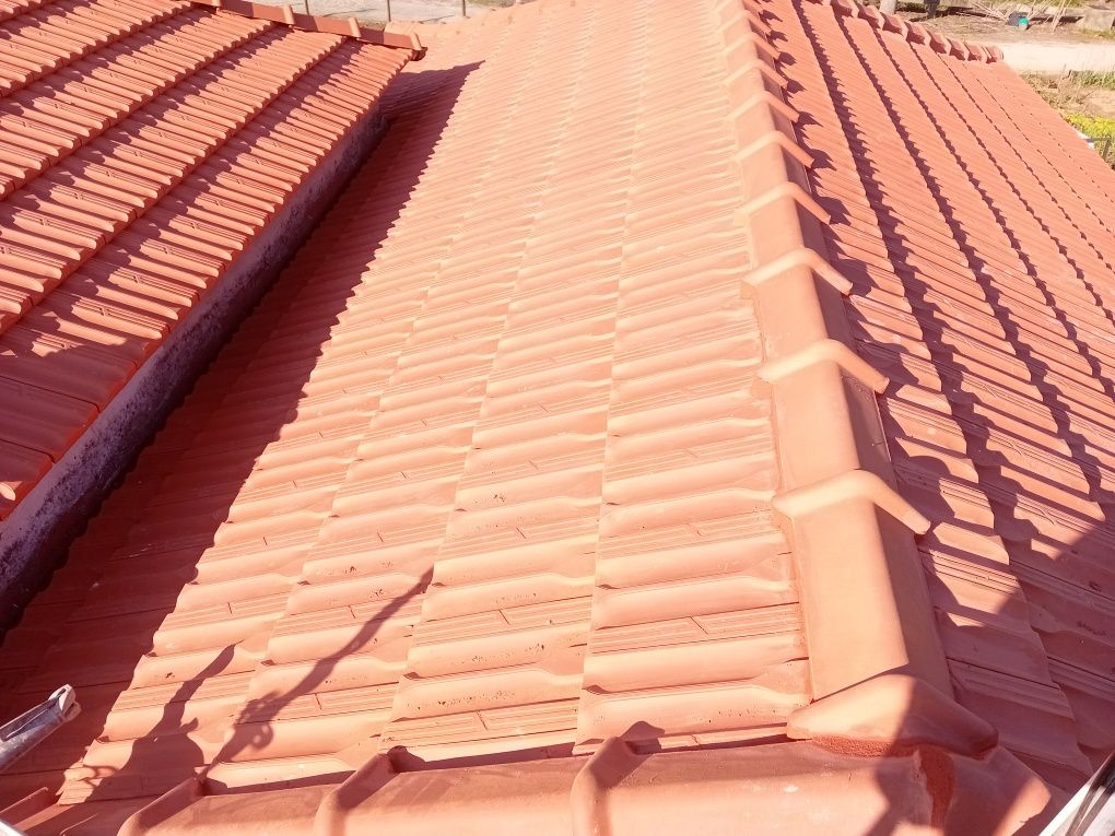Lavagem de telhados e construções