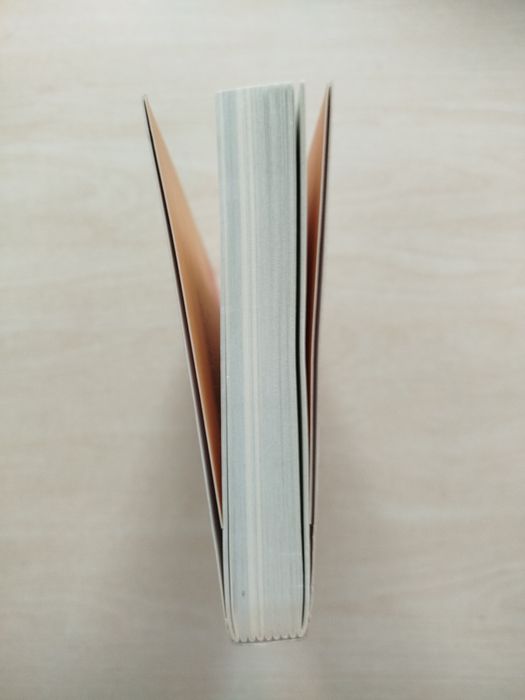 Irena Wielgat Z dziecka niewolnik