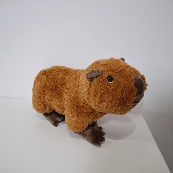 Pluszowa kapibara maskotka hit