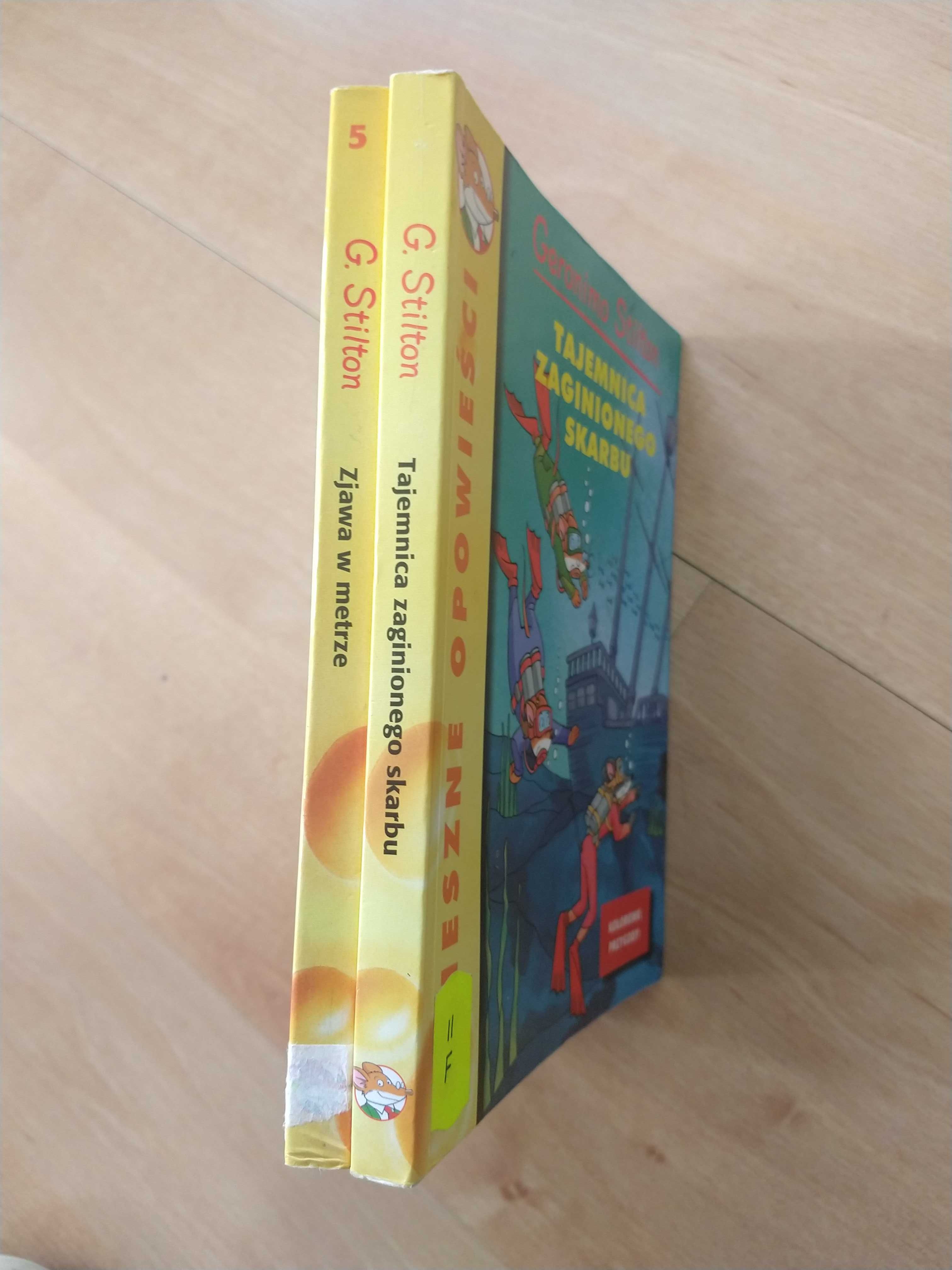 Tajemnica zaginionego skarbu Zjawa w metrze Geronimo Stilton