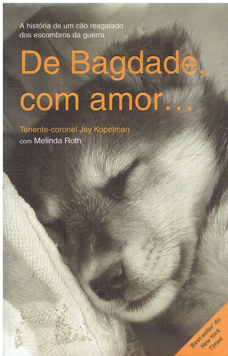 13555

De Bagdade, com amor...
de Jay Kopelman