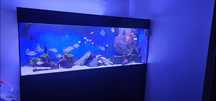 Uszkodzone akwarium 200x60x70cm na terrarium