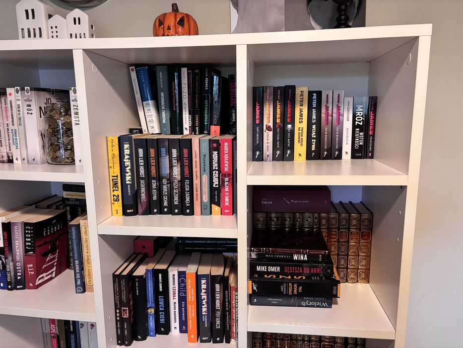 Regał na kaiążki Vox