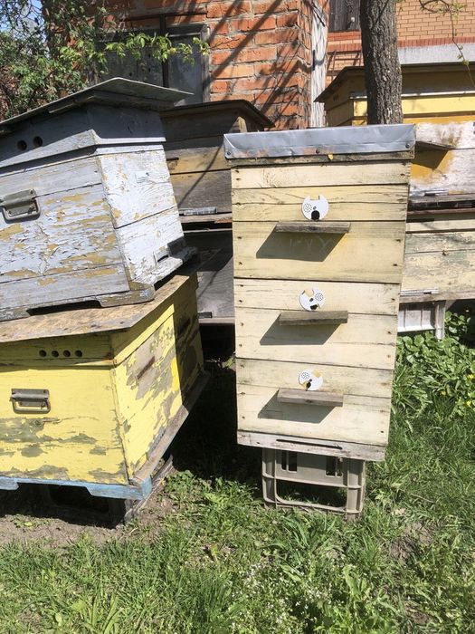 Продам Вулики Б/у для бджіл (та других животних).