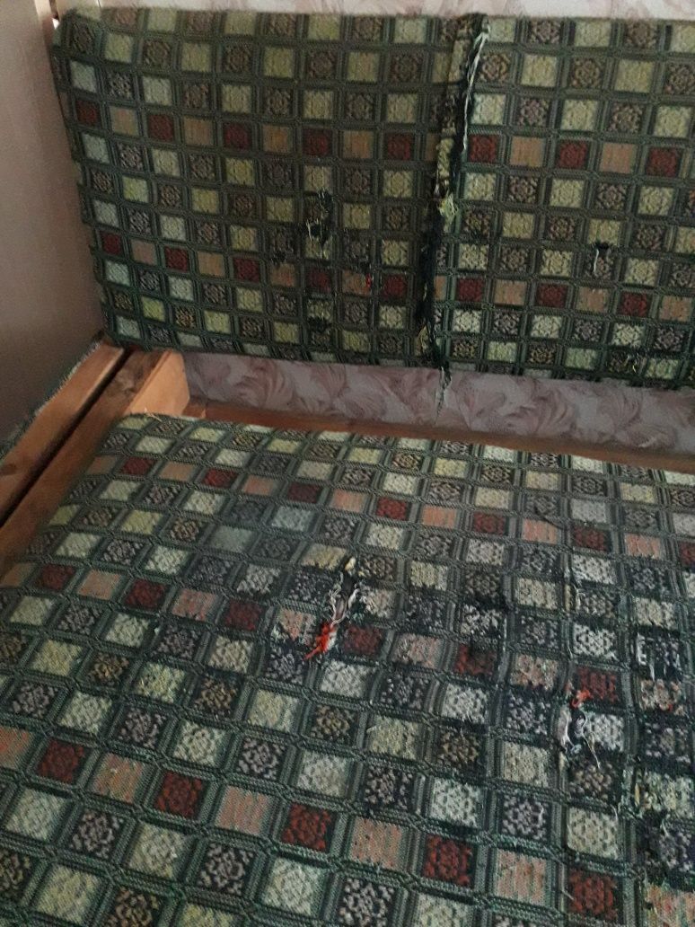 Диван старенький,ціна по домовленості