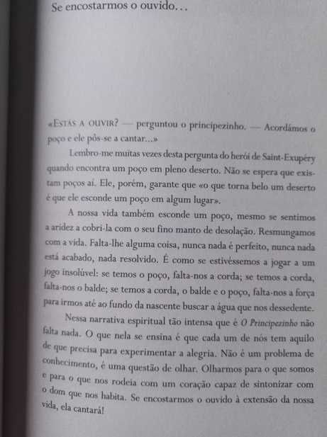 O Pequeno Caminho das Grandes Perguntas - José Tolentino Mendonça