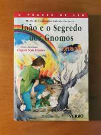 Livro João e o Segredos dos Gnomos