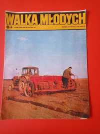 Walka młodych 12 / 1981, tygodnik