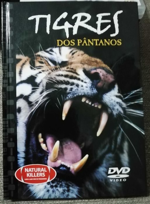 DVD + livro "Tigres dos Pântanos" - Tigre-de-bengala