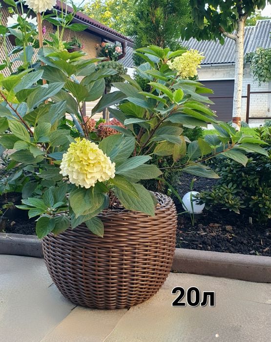 Плетені кашпо з ротангу ручної роботи