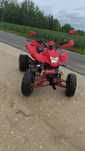 Quad Bashan 250.