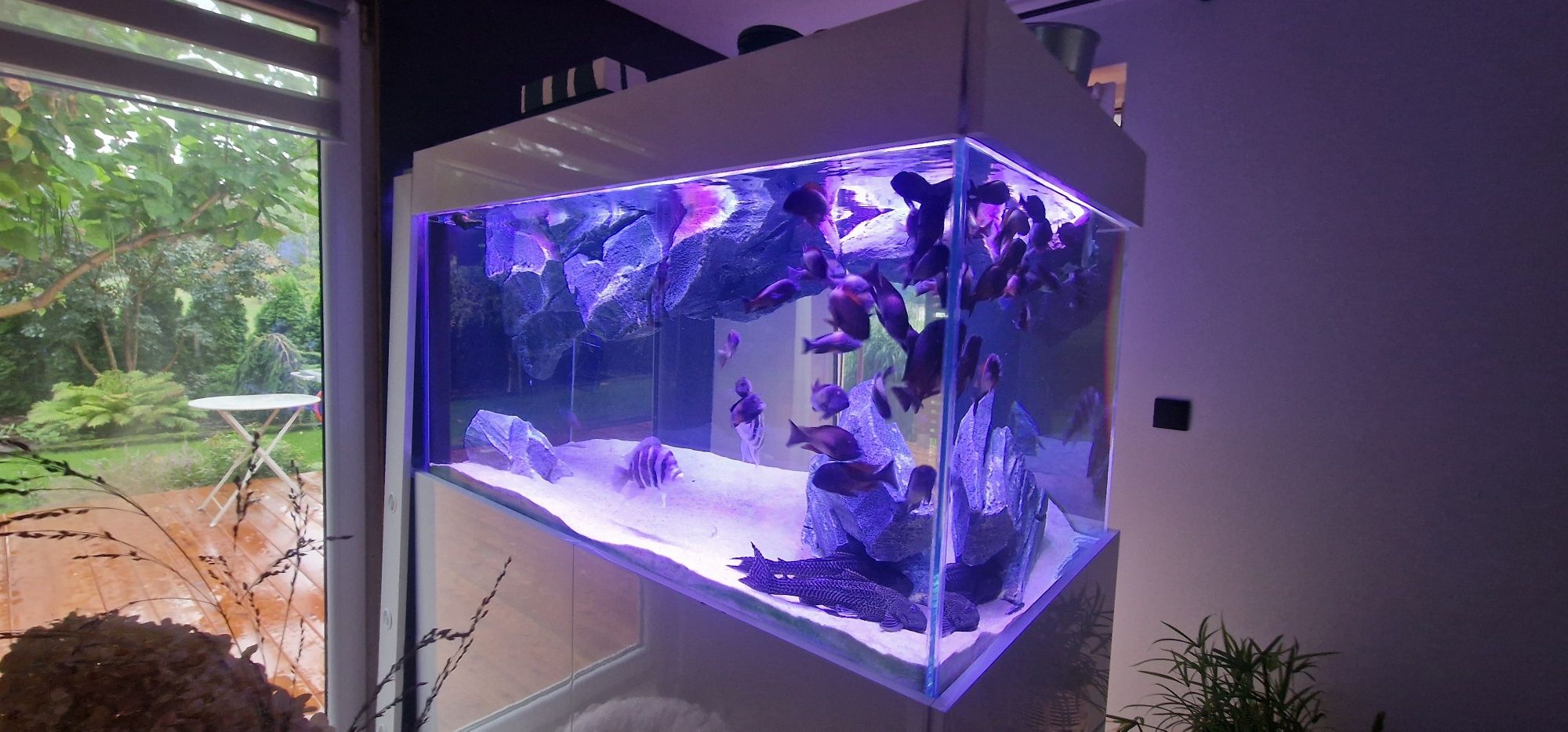 Akwarium 150x80x70 opti 12mm plus sump tropheusy frontosa
