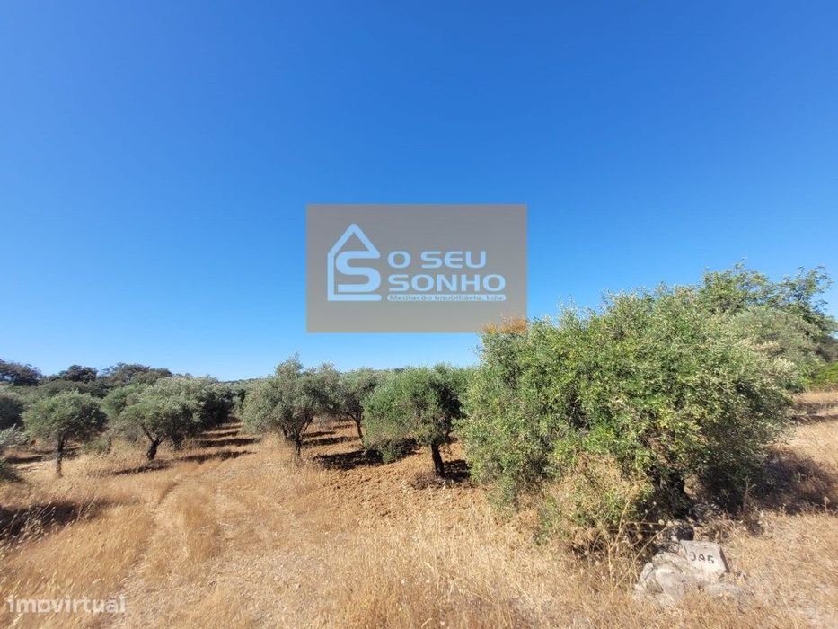 Terreno Rústico - 1.200 M²