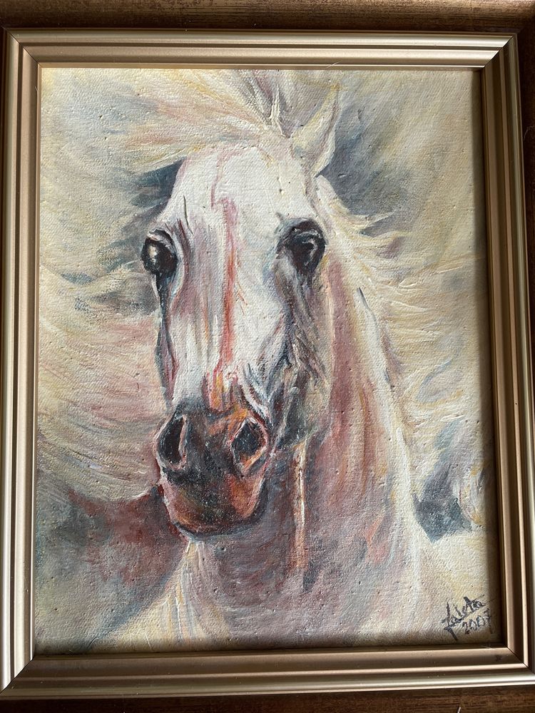 Obraz koń akryl na płótnie