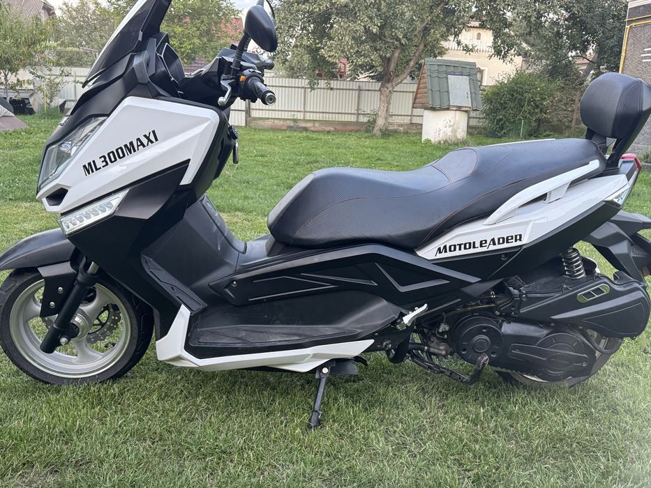 Leader ML 300maxi 2019