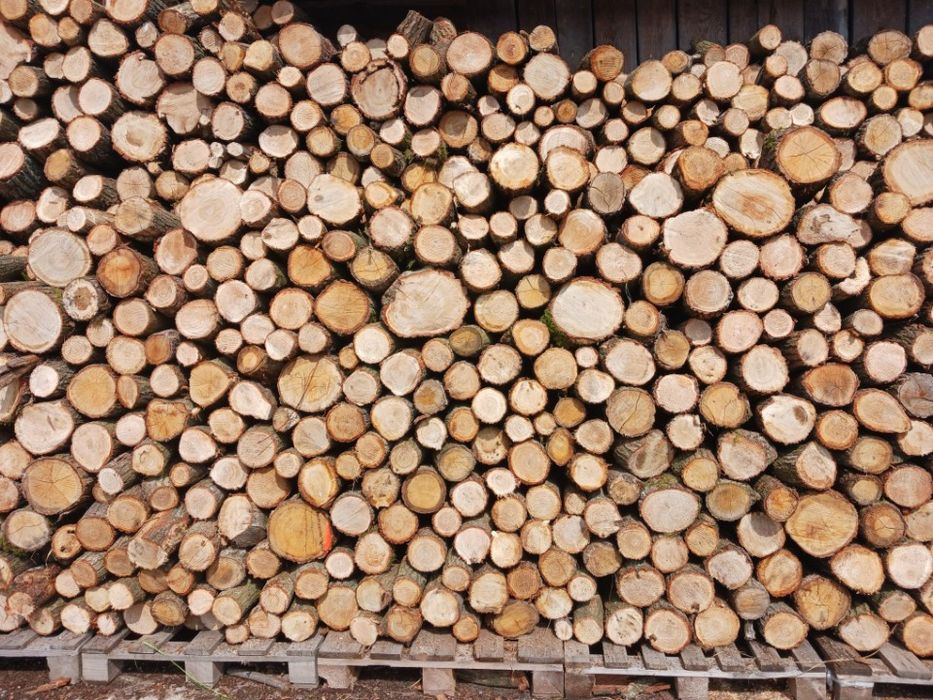 Drewno opałowe dębowe grabowe