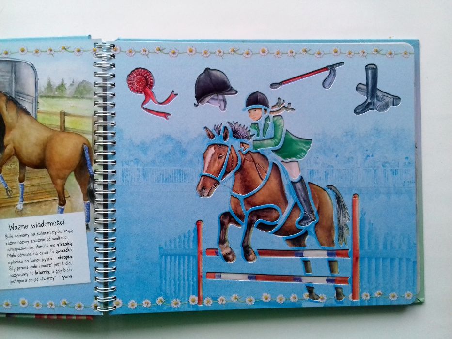 Konie i kucyki. Książka z szablonami. Nowe hobby Książeczka dla dzieci