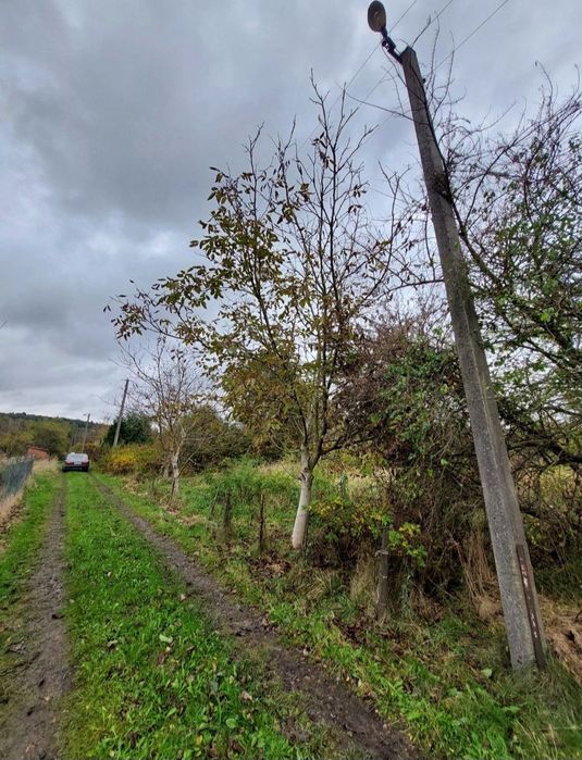 Продаж зем.-діл 4 сот. с. Дережичі дачн кооператив