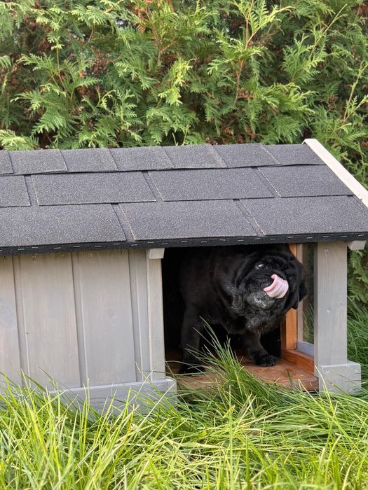 Ocieplany domek dla pupila