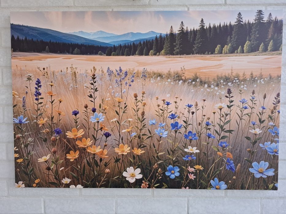 Продам картину, друга в подарунок