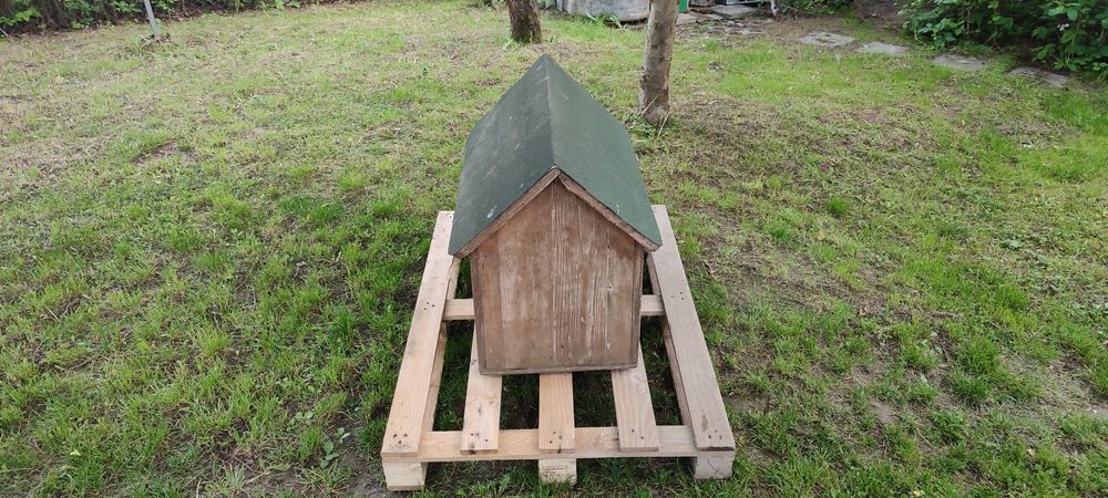 Buda dla średniego psa