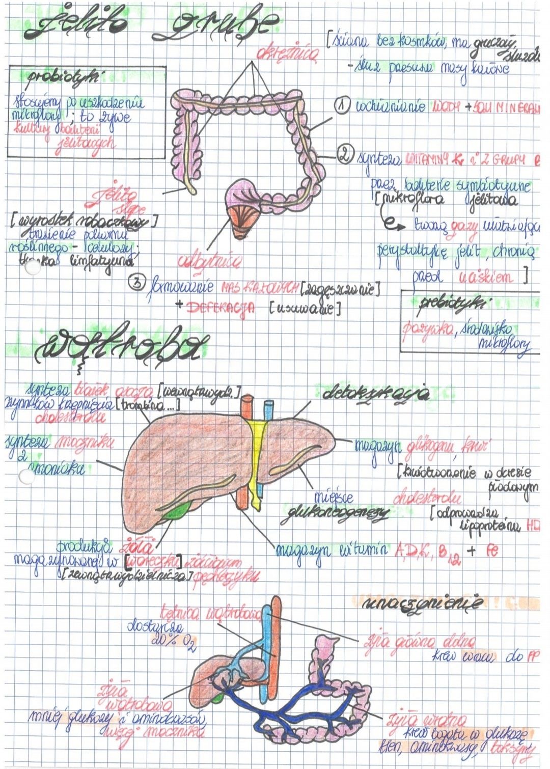 Notatki biologia rozszerzona