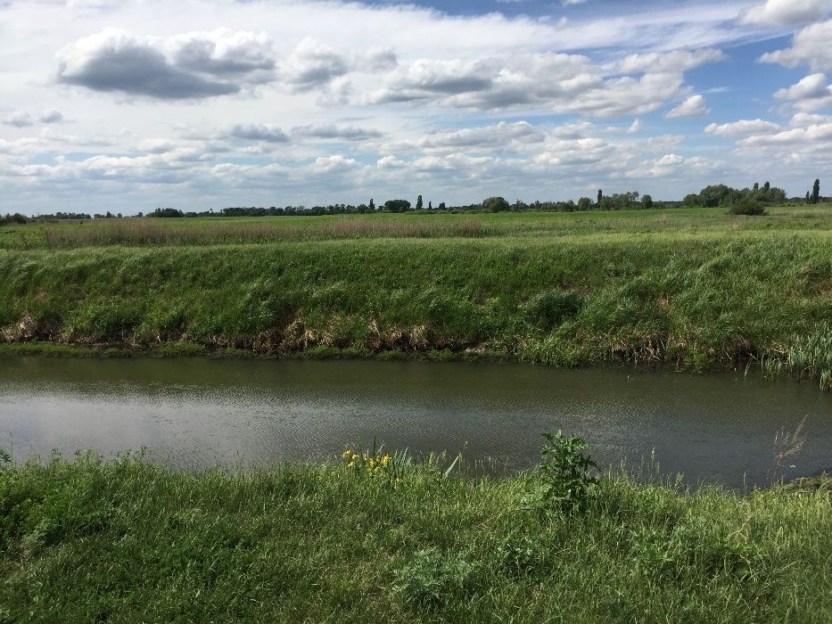 Продаю участок в с. Селичёвка Барышевский район Киевская область.