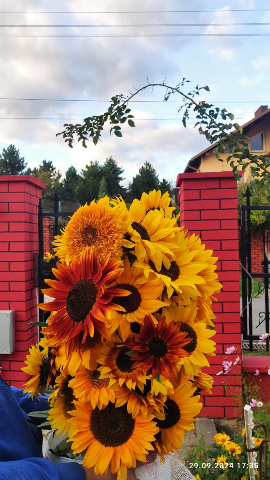 Bukiety z kwiatów słonecznika urodziny imieniny