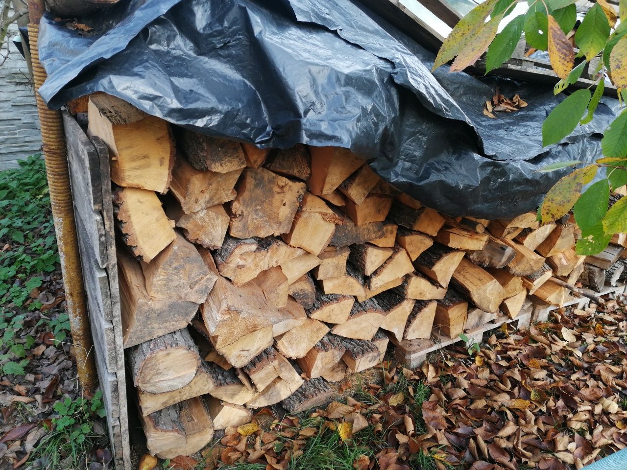Brzoza opałowa sucha
