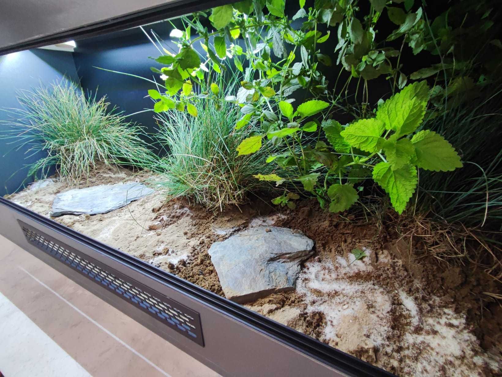 Terrarium pustynne nr650 120/40/50 dla żółwia lądowego NA ZAMÓWIENIE