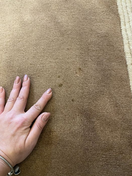 Ковер ручной работы в пастельных тонах Пекин