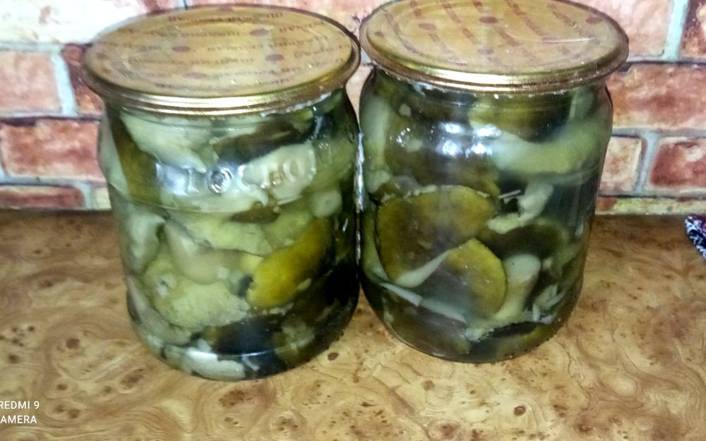 Грибы маслята рядовка зеленуха