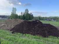Ziemia/Wierzchnia/Humus