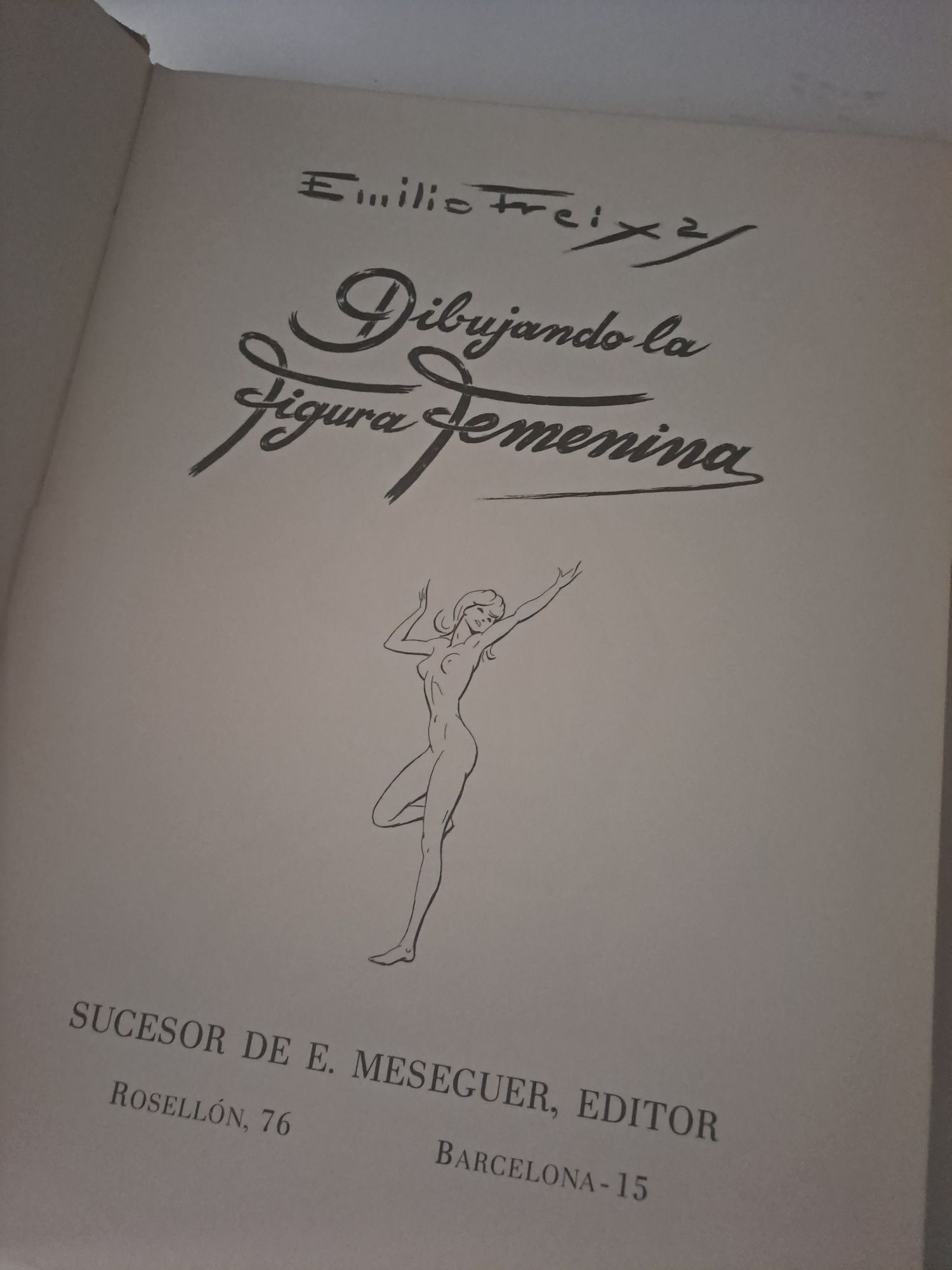 Lote 2 livros  13 euros