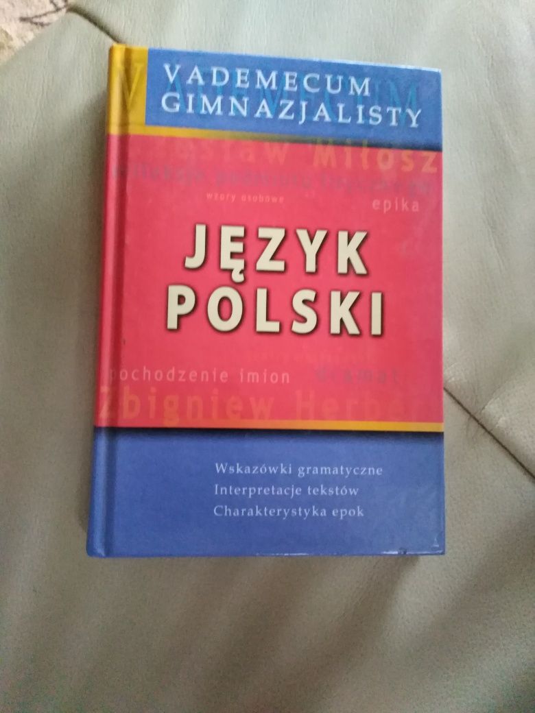 Wademekum gimnazjalisty j. polski