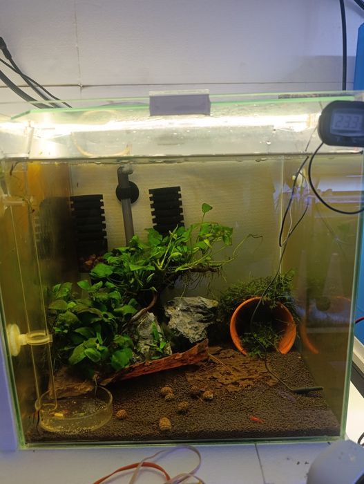 Cubo 35x35x35 com tampas