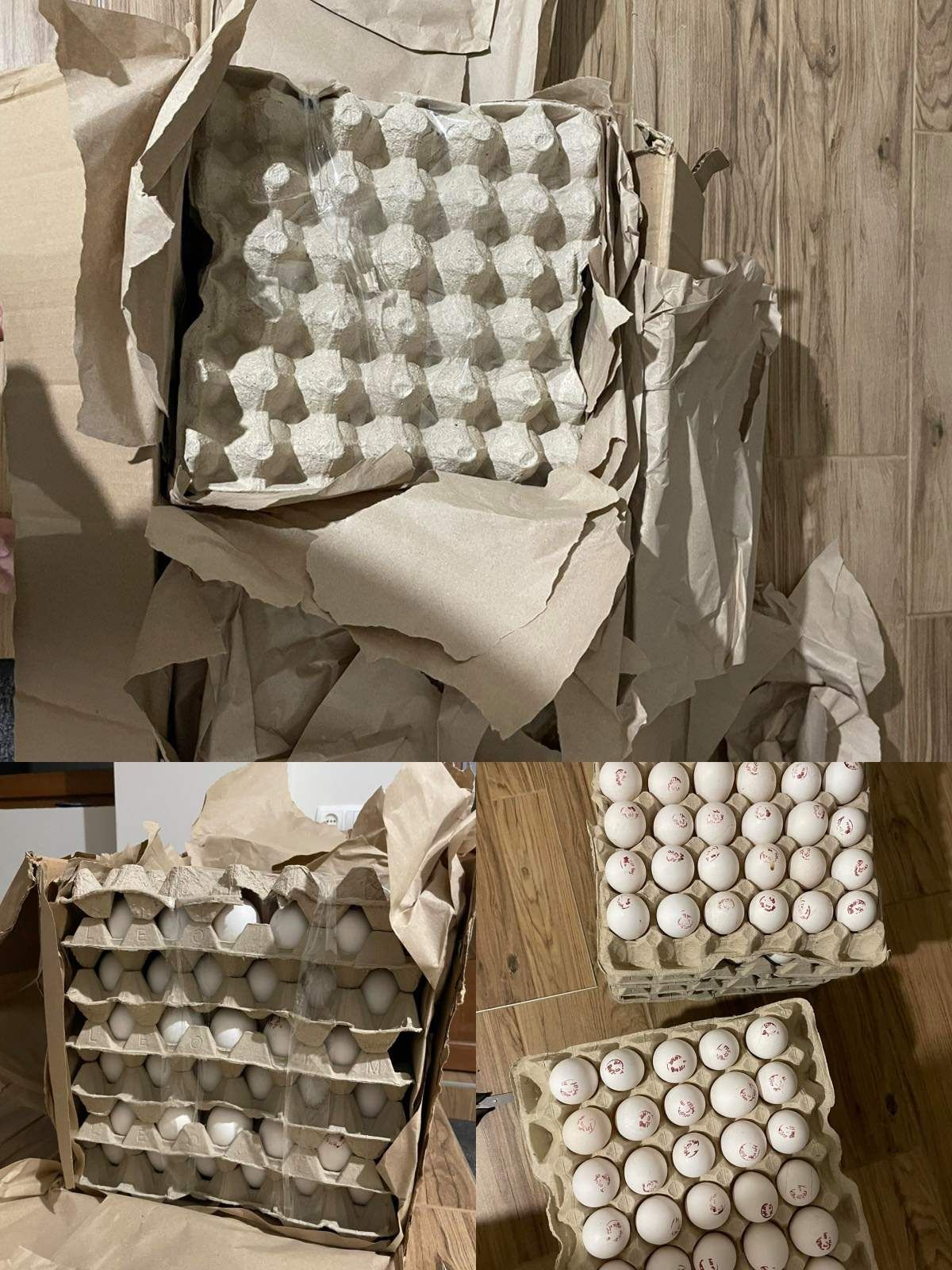 Яйця для інкубації