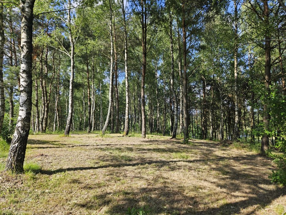 działka nad jeziorem