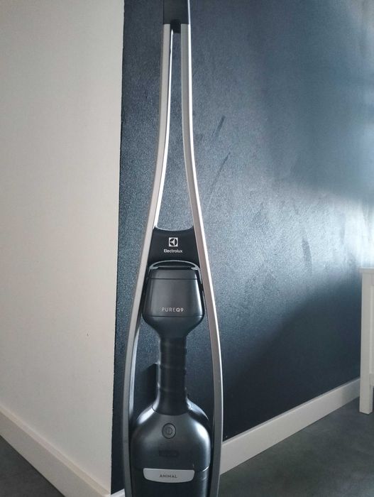 Odkurzacz pionowy Electrolux pure q9