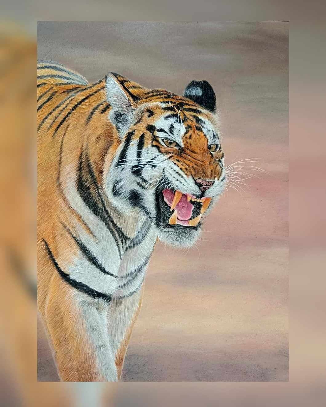 Rysunek tygrys format A3