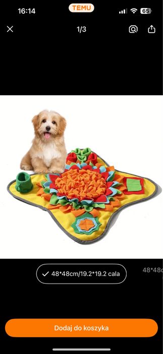 Mata węchowa dla psa