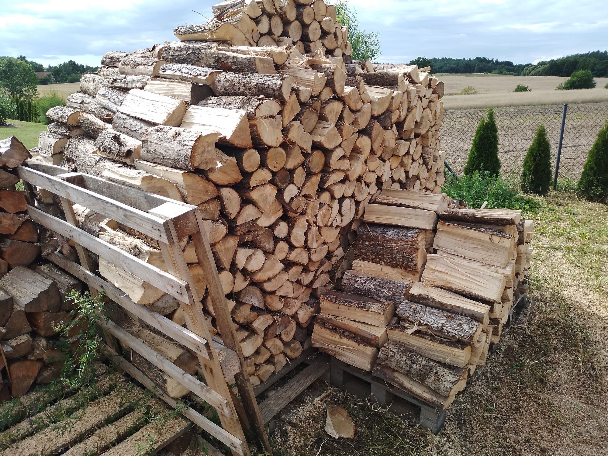 Drewno kominkowe opałowe różne gatunki liściaste iglaste buk dąb sosna