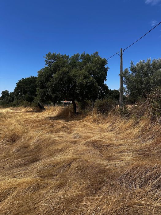 Terreno Rústico 2.132ha Zebreira para Agricultura e Criação de Gado